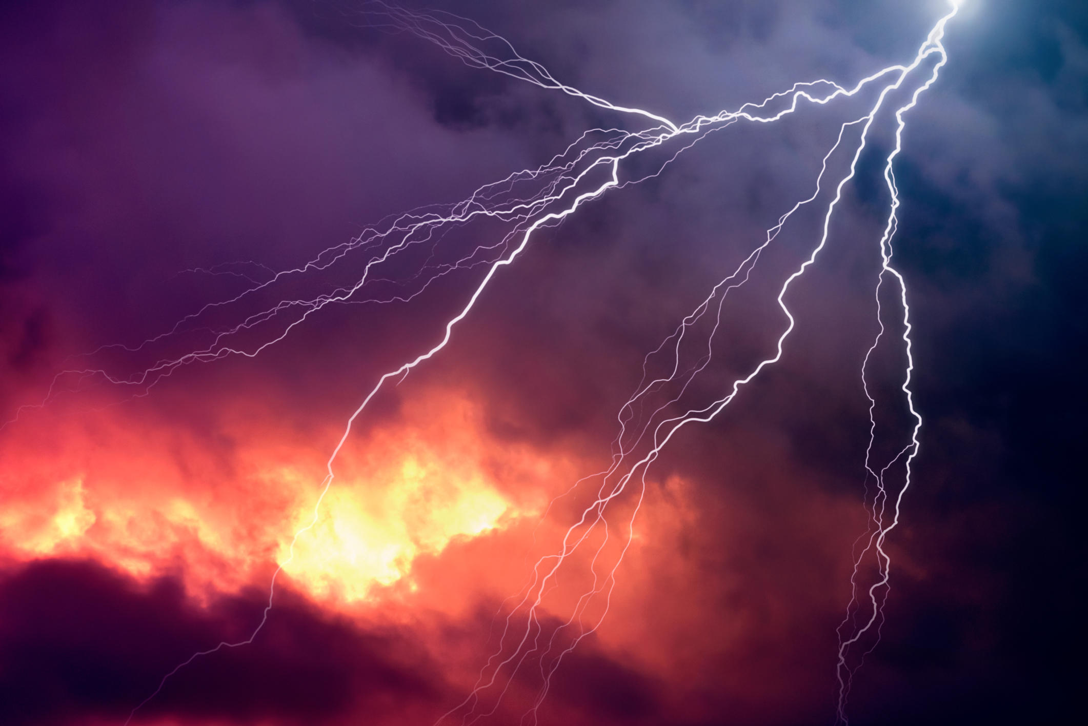 Disaster Planning Management & Recovery